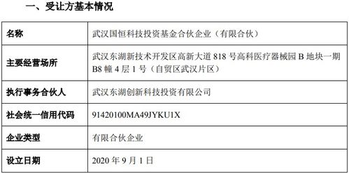 华工科技股份转让取得新进展 国恒基金通过受让审核